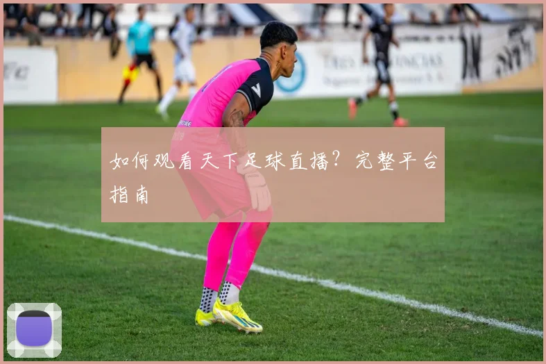 如何观看天下足球直播?完整平台指南