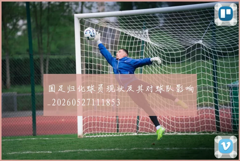 国足归化球员现状及其对球队影响_20260527111853