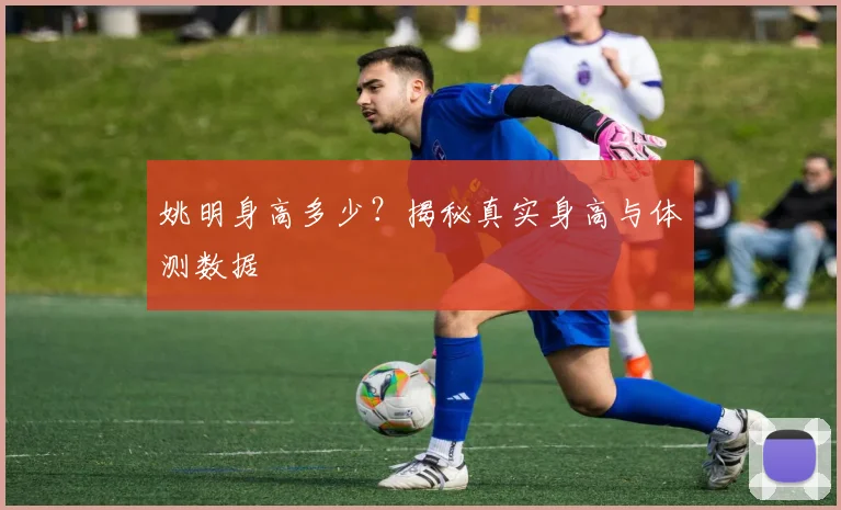 姚明身高多少?揭秘真实身高与体测数据